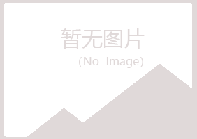 安图县女孩咨询有限公司